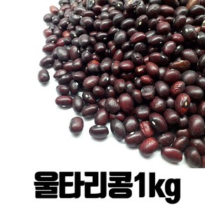 밥보야 수입 밤콩 울타리콩 1kg, 1개