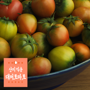 [오늘도신선] 부산 대저 특 프리미어 토마토, 1박스, 5kg M사이즈