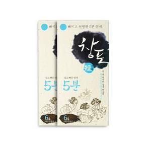 중외제약 창포단 5분 헤어칼라크림 6호 자연진갈색 100g x 2개