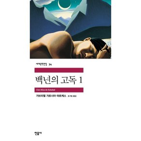 백년의 고독 1