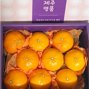 참새마켓 레드향 선물세트 가정용, 1개, 선물세트 특대과 5kg(9~18과)