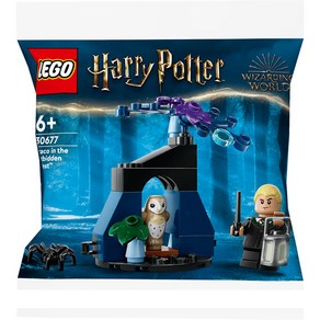 LEGO 30677 - 금단의 숲에 들어간 드레이코 / 레고 정품 해리포터, 혼합색상, 1개