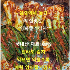 섬결이네 농가. 전라도김치 제철맞은 양파줄기김치.직접 농사지은 황토밭 (양파줄기김치) 알싸한 맛이 매력.국내산재료 100%, 1개, 2kg