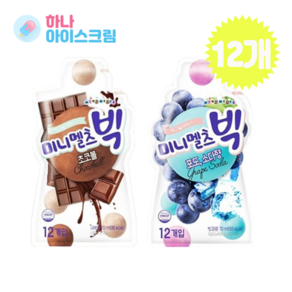 롯데제과 미니멜츠빅 구슬아이스크림 12개 한세트 (초코볼6개+포도소다향6개), 70ml