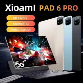 샤오미패드 2024 글로벌 버전 오리지널 PC 안드로이드 13 패드 스냅드래곤 888 RAM ROM 1TB 5G 듀얼 SIM 카드 10000mAh HD 4K 탭, 없음, 없음, 13) Only 1pcs case - 12GB 256G