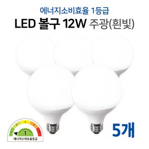 라인라이팅 LED 에코 볼구 12w 에너지소비효율 1등급 제품 (주광/전구/주백), 5개, 주광색