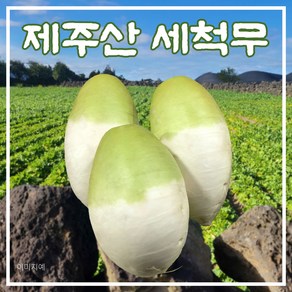 [제주 세척무] 제주 청정 월동 세척 무, 1개, 5kg