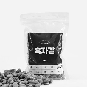 마이플랜트 흑자갈 1kg, 9호(40~50mm), 1개