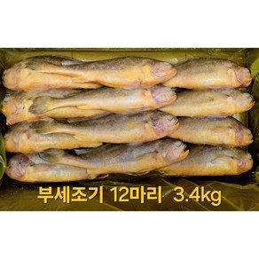 냉동 부세조기 1박스 12마리 3.4kg (제수용) 25cm