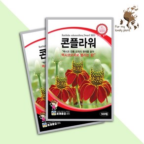 거목산업사 콘플라워 500립 세계종묘 화훼류 씨앗, 1개