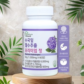 네이처라운드 수국잎열수추출물 AMPK효소 1000mg