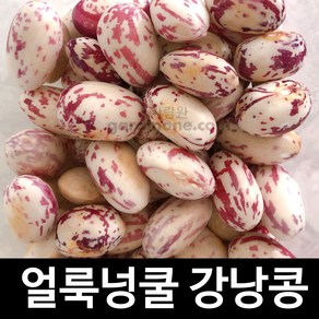 넝쿨 얼룩 강낭콩 씨앗 콩씨 콩씨앗 bean seeds 30g, 1개