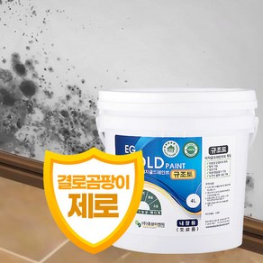 HJ 이지골드 친환경 규조토 페인트 4L (색상28종), 화이트, 1개