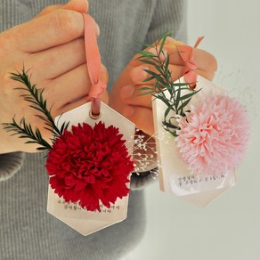 [어버이날 선물] 카네이션 석고방향제 만들기 DIY 키트 / 2개 완성 / 몰드 증정