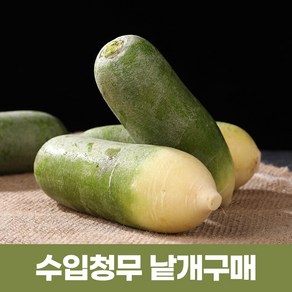 수입청무 중국무 청무 낱개(3개)-2024년햇무, 3개