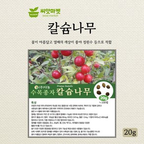 다농 칼슘나무 씨앗 20g, 1개