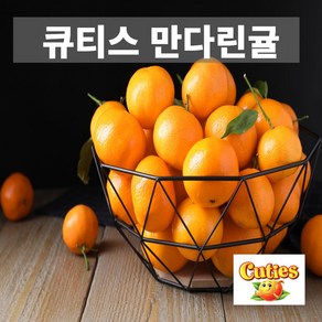 금메달농수산 직수입 고당도 미국 큐티스 만다린 귤, 1개, 3kg