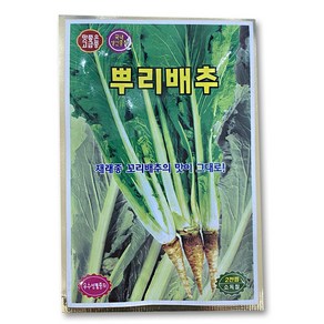 배추씨앗 무씨앗 돌산갓 청갓 적갓 당근 상추 텃밭 씨앗 모음집 김장배추 김장무 채소 야채씨앗