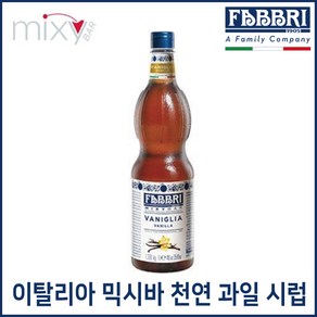 FABBRI 파브리 믹시바 바닐라 시럽 1.3kg, 1개