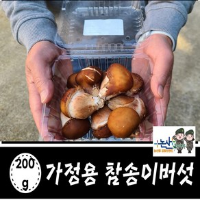 국내산 친환경 쫄깃한 식감과 솔향 참송이버섯, 1개, 200g