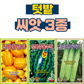 채소씨앗 3종 참외씨앗+수박씨앗+오이씨앗 과일 텃밭 씨앗, 1세트