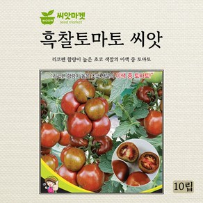 세계종묘 흑찰토마토 씨앗 10립, 50.흑찰토마토 10립, 1개