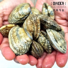 해감 왕 바지락 술찜 조개탕 조개찜, 참바지락, 1개, 1kg