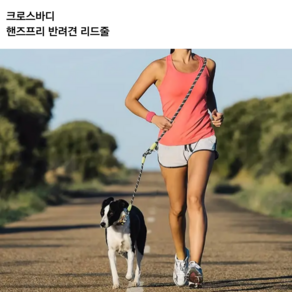 슈프렌 반려견 핸즈프리 리드줄 크로스바디 꼬임방지 반사 로프, 1개, 오렌지