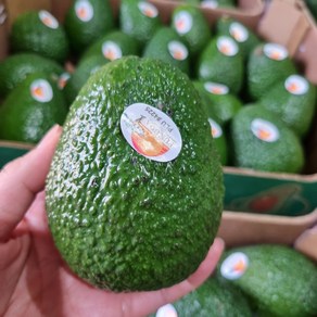 [최상급] 싱싱한 생과 아보카도 후숙아보카도 대과 avocado, 싱싱과 190g 내외 5개입, 1개, 싱싱과 190g 내외 5개입