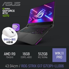 ASUS ROG STRIX G17 G713PI-LL006 [이벤트 한정특가 / 사은품증정]