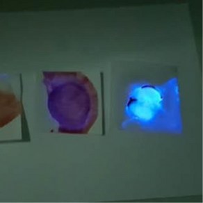 지문탐정 초등과학 루미놀반응 실험세트 5인 창의력 수업용 기초과학