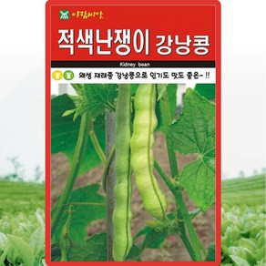 아람종묘 적색난쟁이 강낭콩 씨앗 30g 왜성 재래종 강낭콩씨 종자