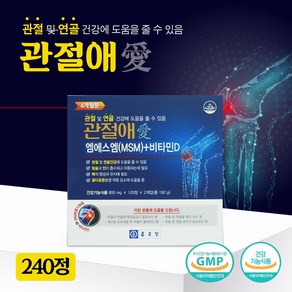 반창고닷컴 종근당 관절애 240캡슐 MSM 비타민D 뼈건강 관절영양제, 240정, 1개