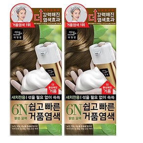 미쟝센 쉽고 빠른 거품염색 6N 밝은갈색 2개팩, 00. 밝은 갈색, 2개