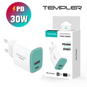 TEMPLER PPS PD 초고속 30W 2포트 C타입 고속 충전기, 1개, 민트