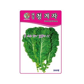 겨자씨앗 제일청겨자 2000립 연중재배 다수확, 1개