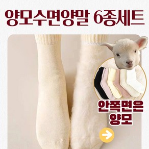 두꺼운 양모수면양말 6종세트 무압박 히트텍 겨울양말 수족냉증 임산부양말 방한양말 덧신