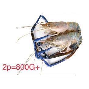 FROZEN GIANT SHRIMP 냉동 큰징거미새우(통새우) 인도 2마리 냉동제품 반품불가 {1KG (NET WEIGHT 800g)}/1PACK