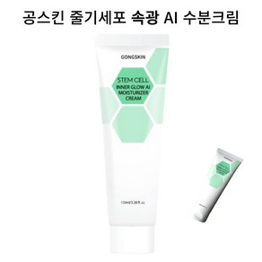 공스킨 줄기세포 속광 AI 수분크림, 2개, 100ml