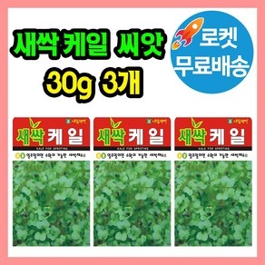 새싹 케일 씨앗 (합 90g) 새싹씨앗 새싹채소, 3개