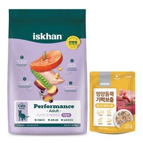 이즈칸 캣 퍼포먼스 어덜트 6.5kg + 영양듬뿍 기력보충 닭고기참치스튜 80g, 1개