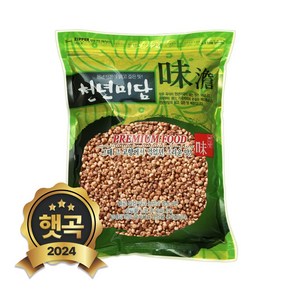 현대농산 수입 찰수수 1kg, 1개