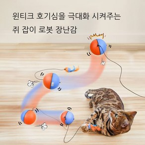 윈티크 고양이 자동으로 움직이는 스마트볼 쥐잡기 장난감, 핑크/불루, 1개