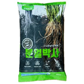 [농사마트] 분얼박사 10kg 벼 분얼수 증가 엑토신 바이오플랜 수확량 증대 사은품 랜덤씨앗, 1개