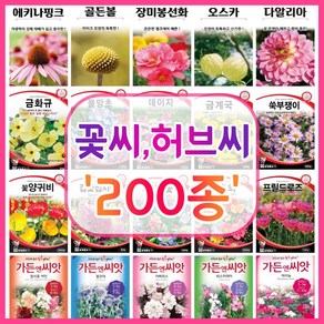 꽃씨 200종 꽃씨앗 꽃씨몰 다년생 월동 꽃 씨앗 세트 야생화 종자 / 코스모스 국화 제라늄 구절초 겹접시꽃 버들마편초 금어초 양귀비씨앗 메리골드 스토크 금어초 네모필라 꽃잔디