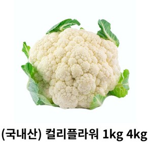 콜리플라워 1kg 2kg 4kg 국내산 산지직송 컬리플라워 생콜리플라워 칼리플라워 하얀꽃양배추 슈퍼푸드 볶음 조림 튀김용