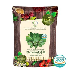 푸른들판 국산 구아바잎 가루 분말 100% HACCP 인증 구아바나무 잎 차, 1개, 100g