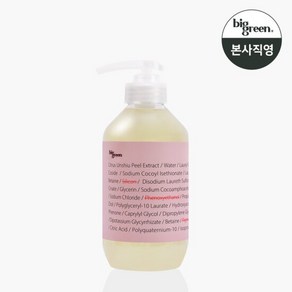 빅그린 임산부 샴푸 500ml, 1개