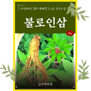 불로인삼 20립 가정에서도 쉽게 재배할 수 있는 한국의 삼 그린하트바이오, 6.명산더덕 1000립, 1개