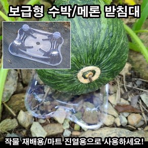 한누리팜마트/보급형 수박받침대 (100개)/메론받침대/호박받침대, 1개